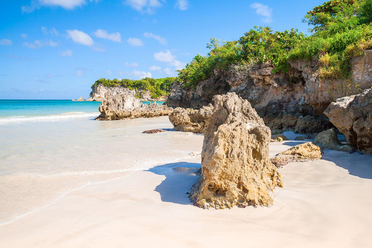 Experiencia de Surf en Punta Cana: Surf en República Dominicana