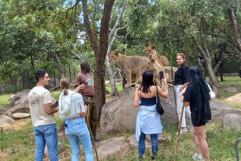 Harare: Passeios de escala, safáris e férias