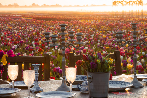 Tulip Experience and Tulip Fields Tour from Amsterdam