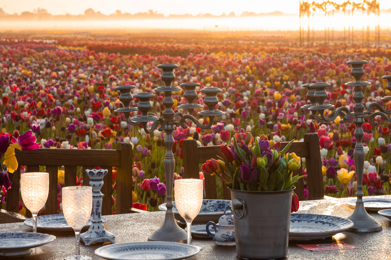 Tulip Experience and Tulip Fields Tour from Amsterdam