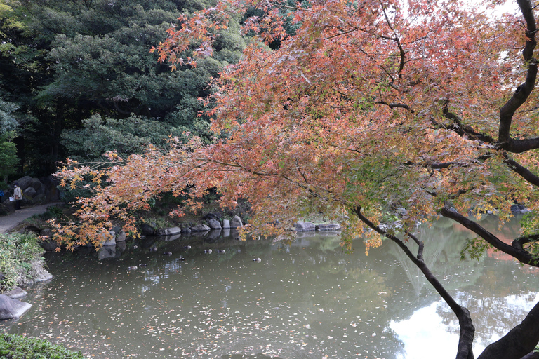 Tokyo Imperial Palace Walking Tour with Expert Guide