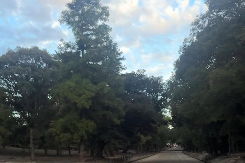 Nara: Jog Through 3 UNESCO World Heritage Sites with Deers Basic Running Plan