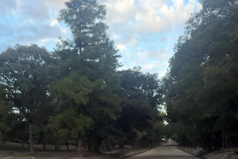 Nara: Jog Through 3 UNESCO World Heritage Sites with Deers Basic Running Plan