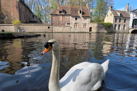 Bruges by bike with family and friends!