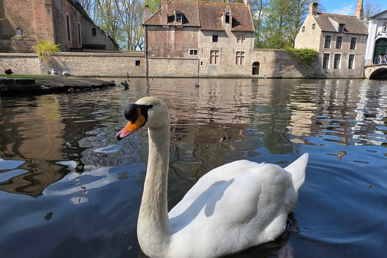 Bruges by bike with family and friends!
