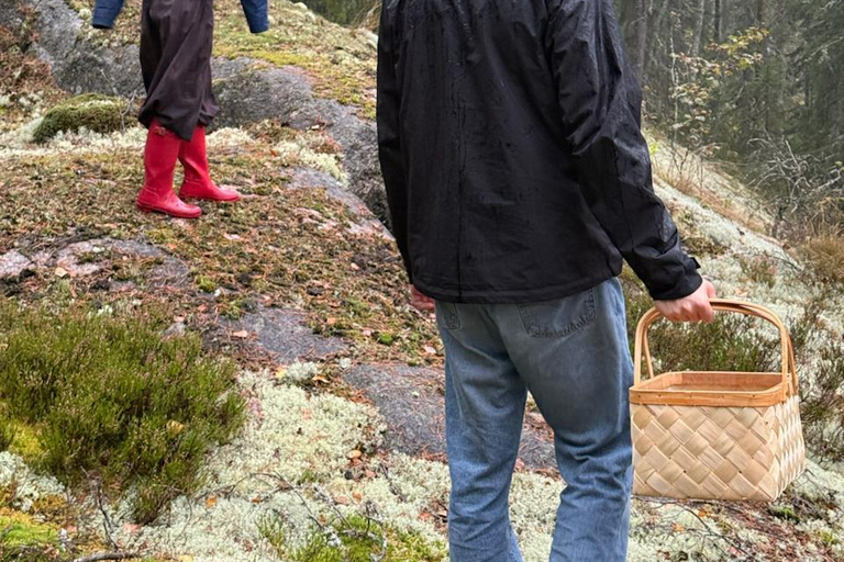 Helsinki: Foraging Tour and Cooking Class with Dinner