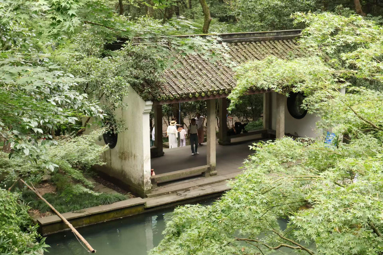 Hangzhou Hupao Park & Mountain Coffee Experience