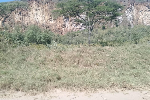 Day Trip: Hells Gate and optional Boat Ride at Lake Naivasha Hells Gate and Boat Ride at Lake Naivasha without entry fee