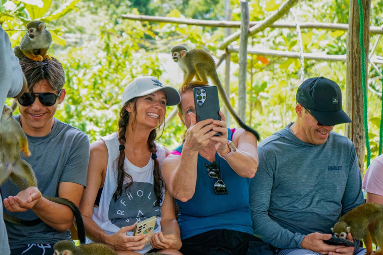 Horseback Ride & Monkey Island Tour with Pickup Puerto Plata