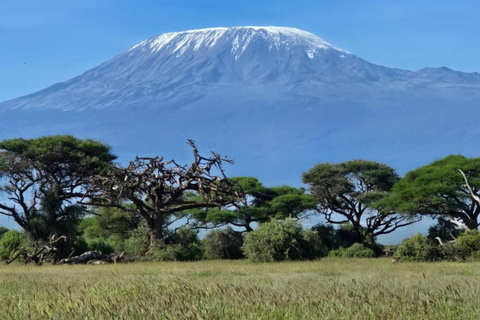 Nairobi: 2-Day Amboseli National Park Safari with Meals