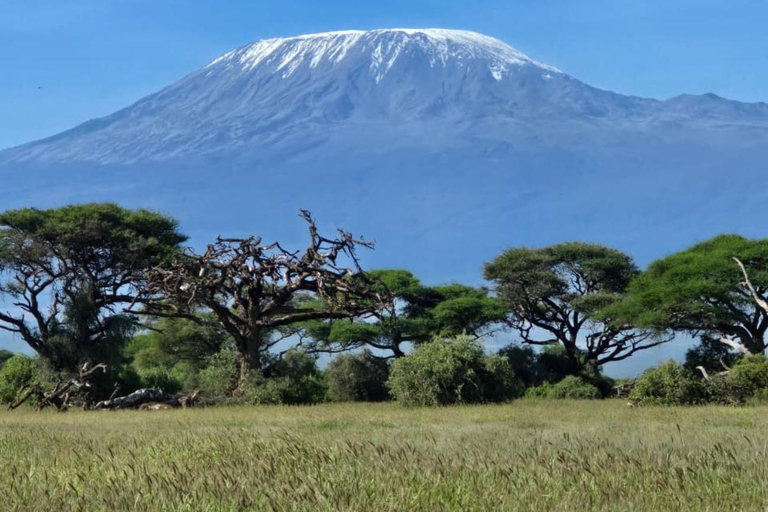 Nairobi: 2-Day Amboseli National Park Safari with Meals