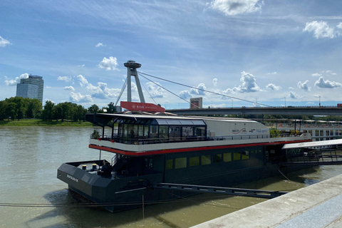 Excursion hivernale d'une journée : de Vienne à Bratislava en bus et en bateauVisite en anglais