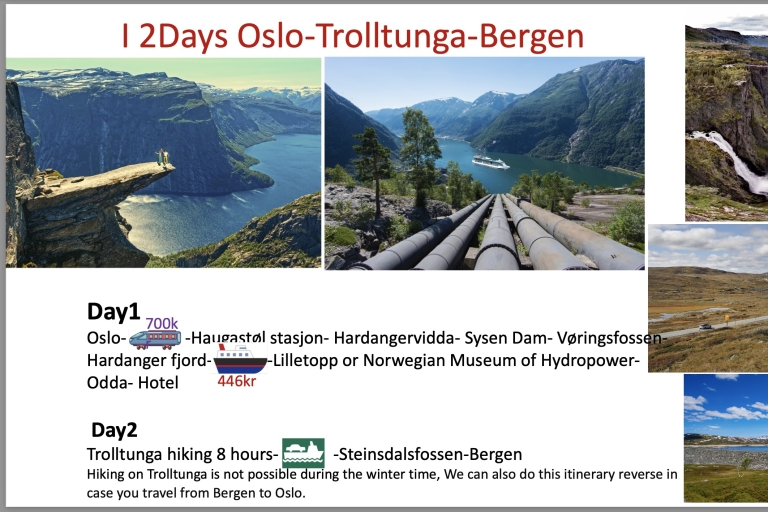 2-dniowa elastyczna wycieczka do Hardanger i lodowca Sognfjord2-dniowa elastyczna wycieczka do Hardanger i Sognfjord Flåm