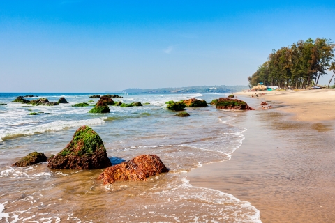 Mooie Goa Beach Tourstandaard Optie