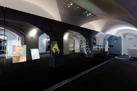 Innsbruck : visite guidée exclusive Swarovski avec boisson et cadeauInnsbruck : visite guidée exclusive de Swarovski avec boisson et cadeau