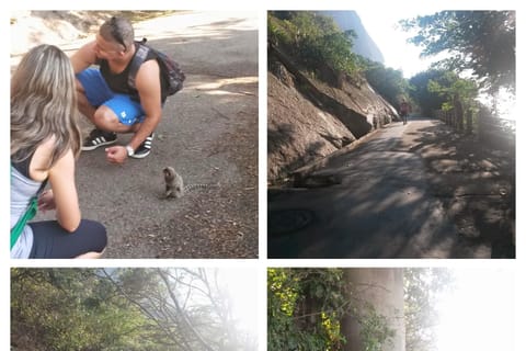 Rio de Janeiro: Climbing on the Sugarloaf Cliff