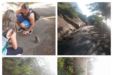 Rio de Janeiro: Sugarloaf Mountain: Hiking and Climbing