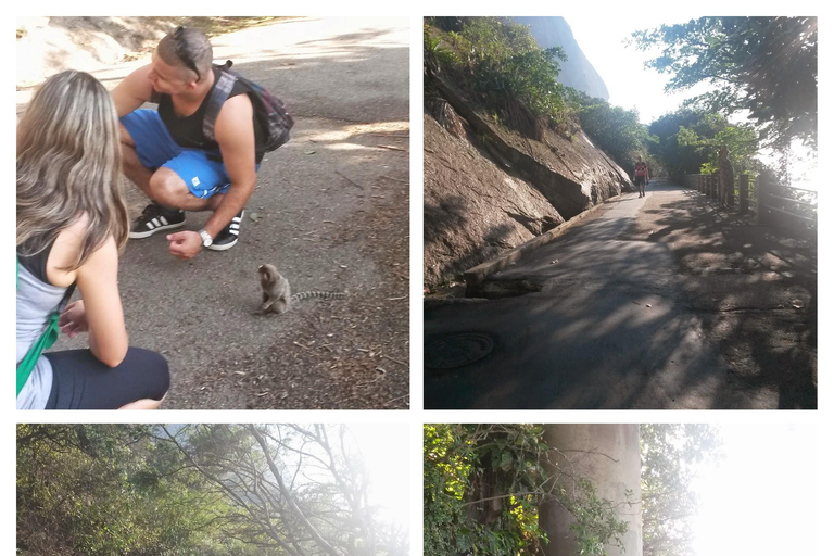 Rio de Janeiro: Sugarloaf Mountain: Hiking and Climbing