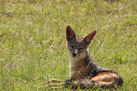 3 Days Tsavo East National Park safari from Nairobi 3 Days Tsavo East National Park