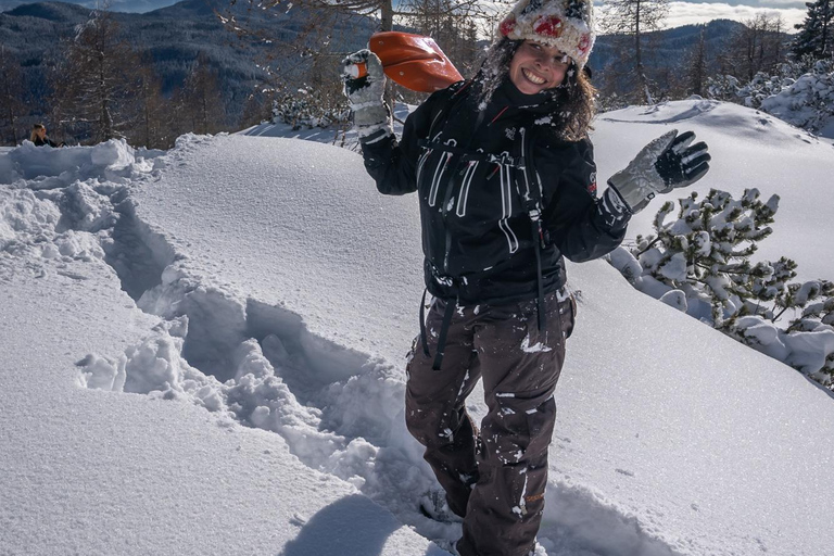 From Ljubljana/Bled: Beginner Snowshoe in Julian Alps From Bled - pickup at your accommodation