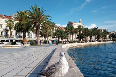 Private Full Day Trip Split from Dubrovnik With Local Guide