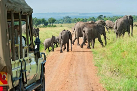 Från Nairobi: 3-dagars safari i Aberdare och Solio Ranch