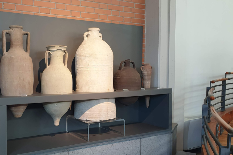 Pompeii: Private Guided Tour with Herculaneum – 3 Options Pompeii Herculaneum & Naples