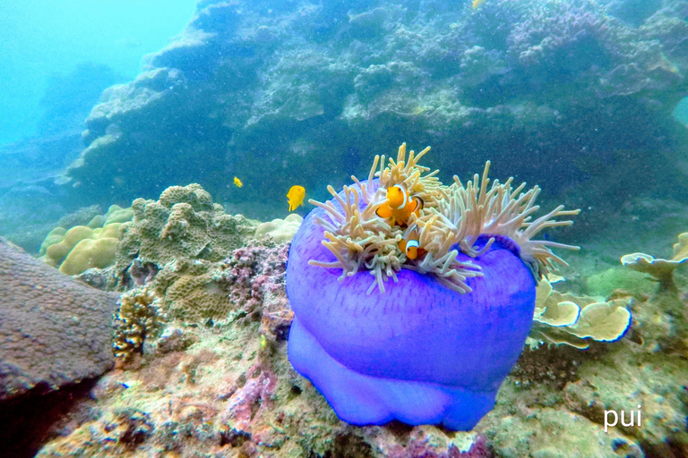 Golden Horizon of Krabi: 4 Islands & Phra Nang Sunset