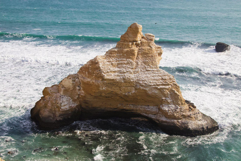 Full Day at Ballestas Islands & Paracas Reserve