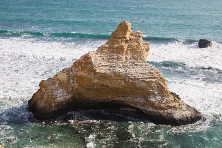 Full Day at Ballestas Islands & Paracas Reserve