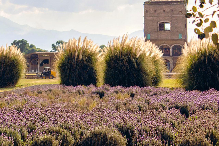 From Puebla: CHAUTLA & VAL'QUIRICO PRIVATE TOUR