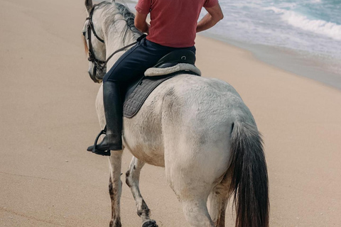 Costa Alentejana: Horse tour in Serra de Grândola