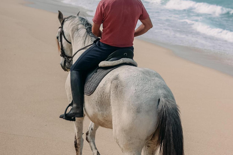 Costa Alentejana: Horse tour in Serra de Grândola