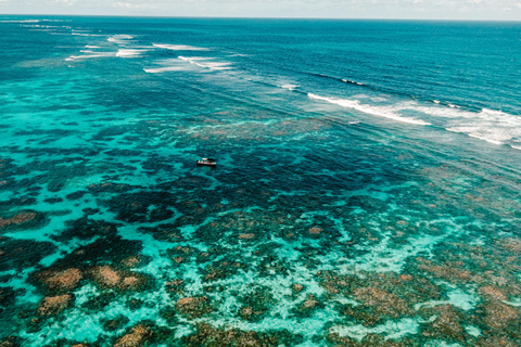 Guadeloupe: Magical half-day boat trip: mangrove, islet, snorkeling. Guadeloupe: Magical 1/2-day boat trip: mangrove, islet, snorkeling.