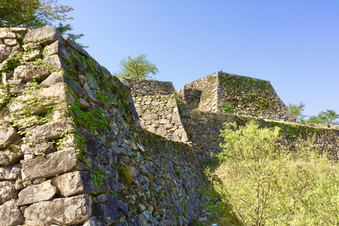 Hyogo: Takeda Castle “Castle in Sky” Mountain Hiking Tour