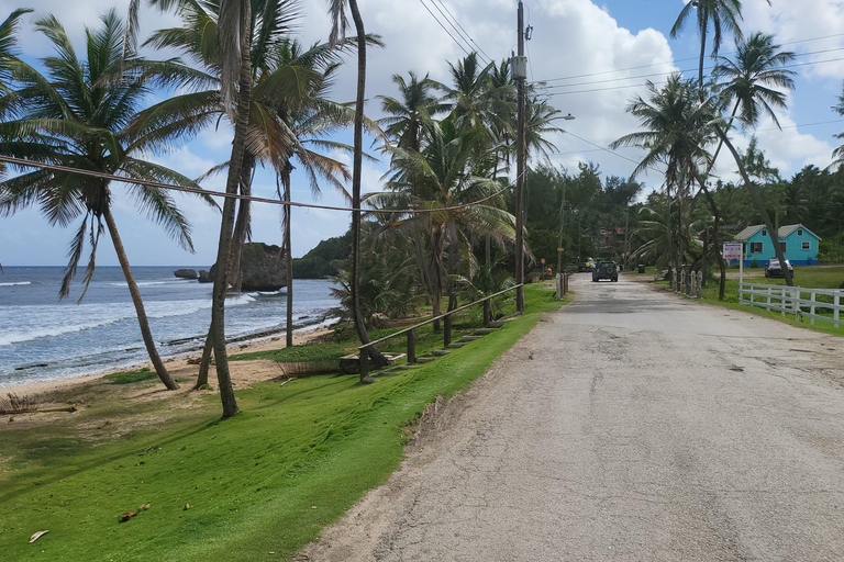 A DERRADEIRA EXPERIÊNCIA DE PEDALAR NA COSTA LESTE