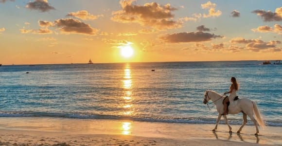 Noord, Aruba: Beach Horseback Ride at Sunrise or Sunset
