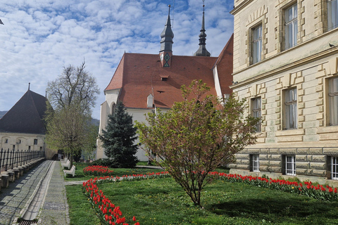 Brașov: Sighișoara, Saschiz & Viscri UNESCO Day Trip