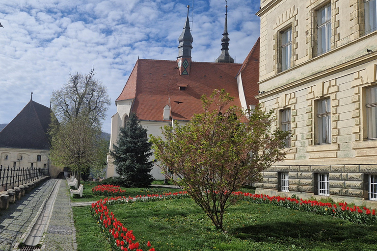 Brașov: Sighișoara, Saschiz & Viscri UNESCO Day Trip