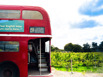 From Brighton: Sussex Wine Tour on a Vintage Bus with Lunch