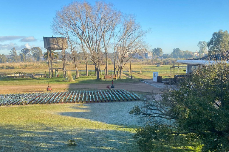 Santa Rosa vingård: Museiturné och provsmakning