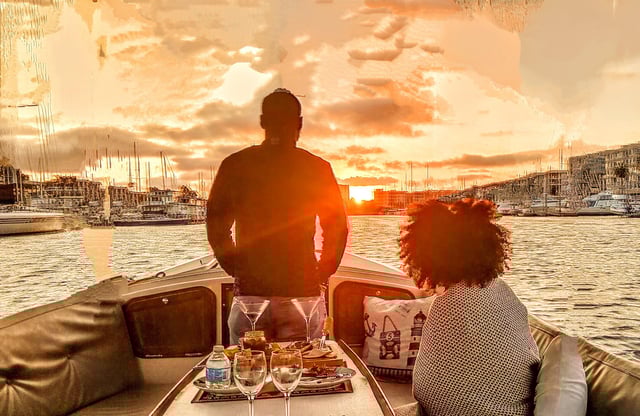 Croisière en bateau de luxe à Marina Del Rey Vins et charcuteries Sealions