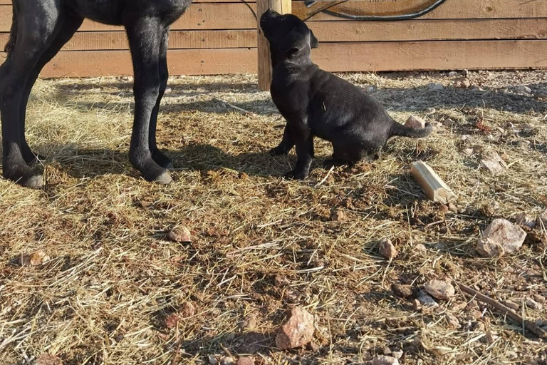 From Split: Imotski Lakes & Dalmatian Hinterland Day Trip