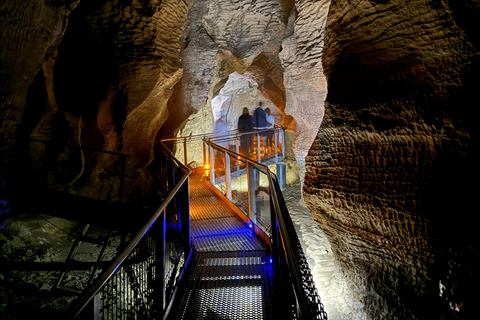 Private Day Tour: Waitomo Glowworms & Hobbiton Movie Set