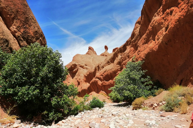 Excursión de 3 días por el desierto del Sáhara marroquí de Marrakech a Fez