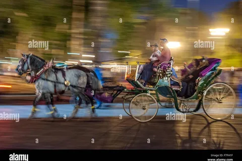 Marrakech: 1-Hour Elegant Horse Carriage Experience