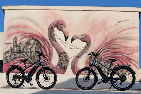 Djerbahood: E-bike ride to the famous Street Art Village