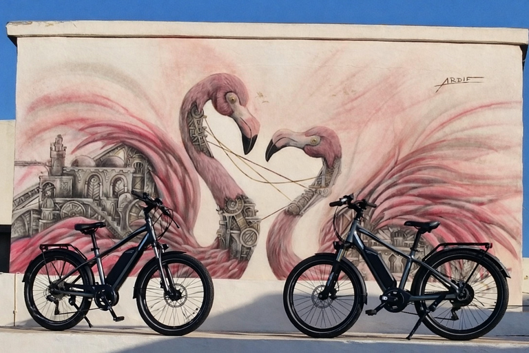 Djerbahood: E-bike ride to the famous Street Art Village