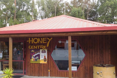 Auckland: Honey Center, Horse Riding & Sheep World Tour