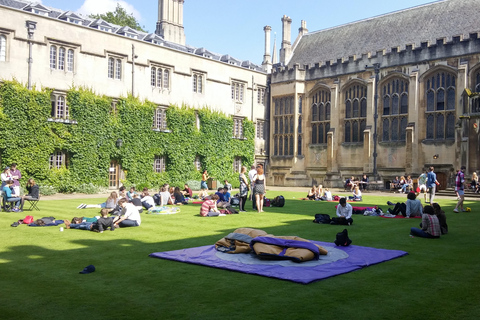 Oxford College Gardens - obejmuje przestrzenie zamknięte dla publiczności.